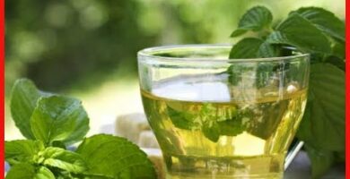 Poleo menta silvestre: beneficios y usos del té herbal